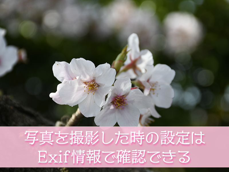 カメラ撮影設定はExif情報で確認