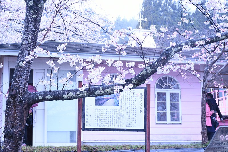 能登さくら駅（鹿島駅）の桜