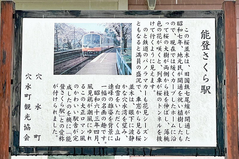 能登さくら駅（鹿島駅）の桜