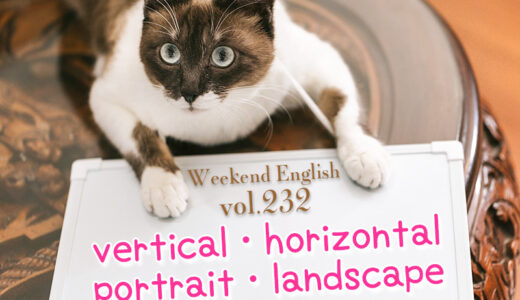 【週末英語#232】写真の縦・横は英語で「vertical（縦）／horizontal（横）」の他に「portrait（縦）landscape（横）」も使えるよ