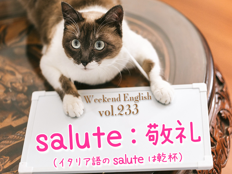 英語のSalute（敬礼）イタリア語Salute（乾杯）