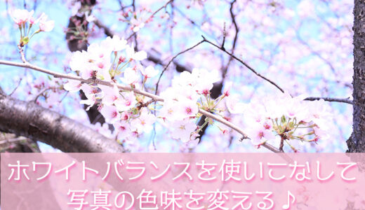 【カメラ散歩】一眼レフでホワイトバランスを使いこなして写真の色味を調整して変える