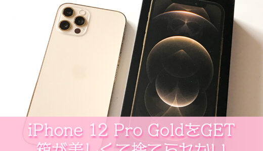 iPhone 12 Pro Godd を購入。イヤホンと電源アダプタが同梱されなくなったけどやっぱり箱が美しくて捨てられない