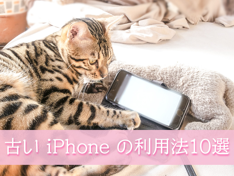 古いiphone利用法10選