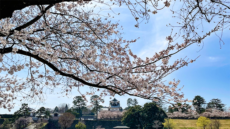 金沢城大手門