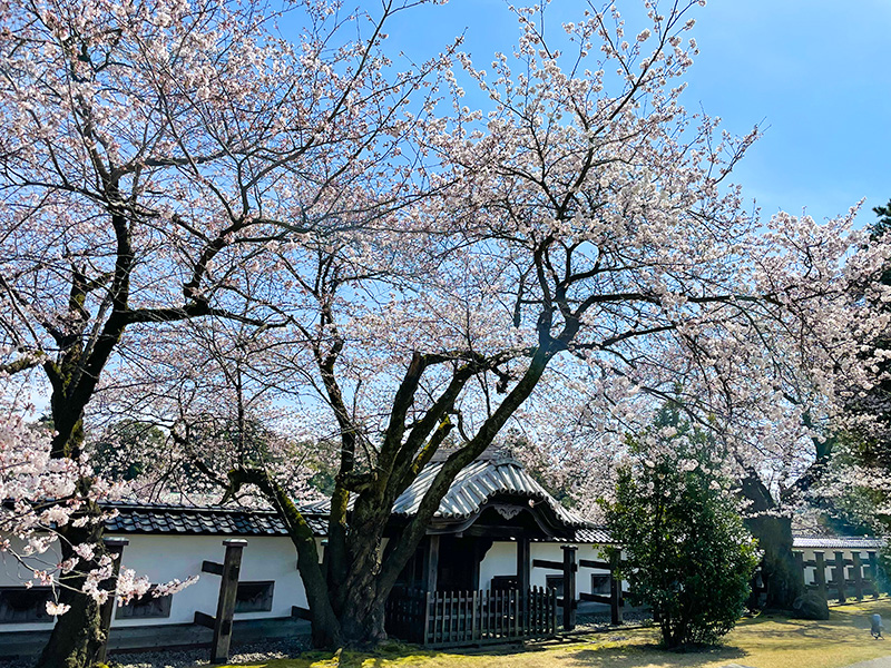 金沢城石川門（搦手門）