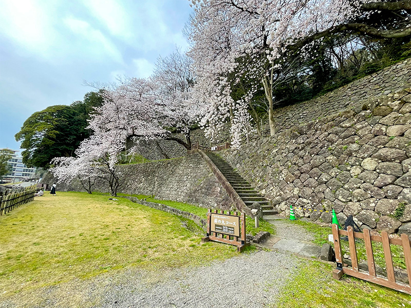 金沢城・申酉櫓下の石垣