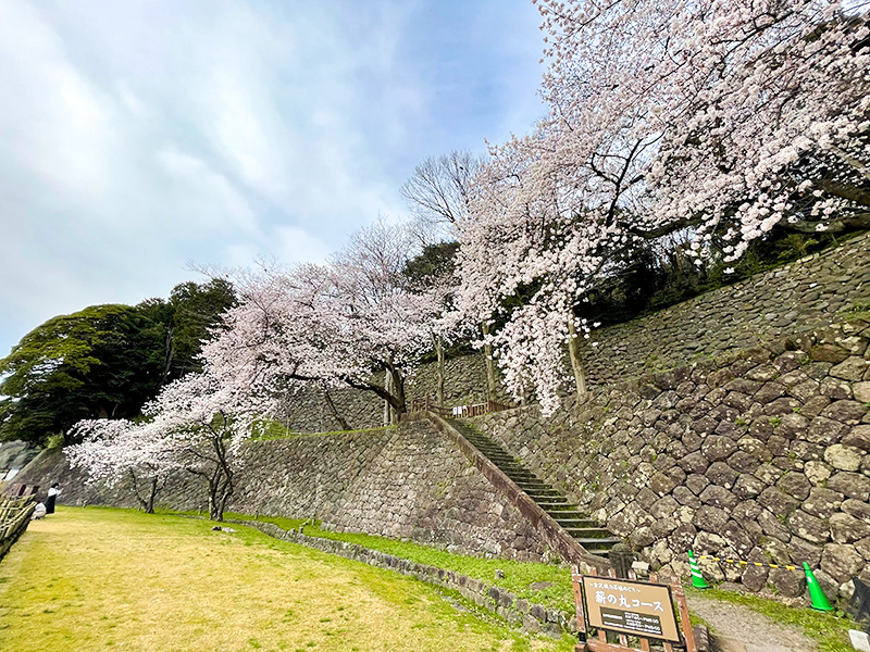 金沢城石垣・石積み模型