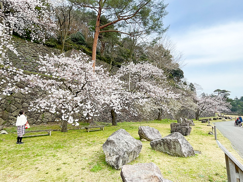 金沢城石垣・石積み模型