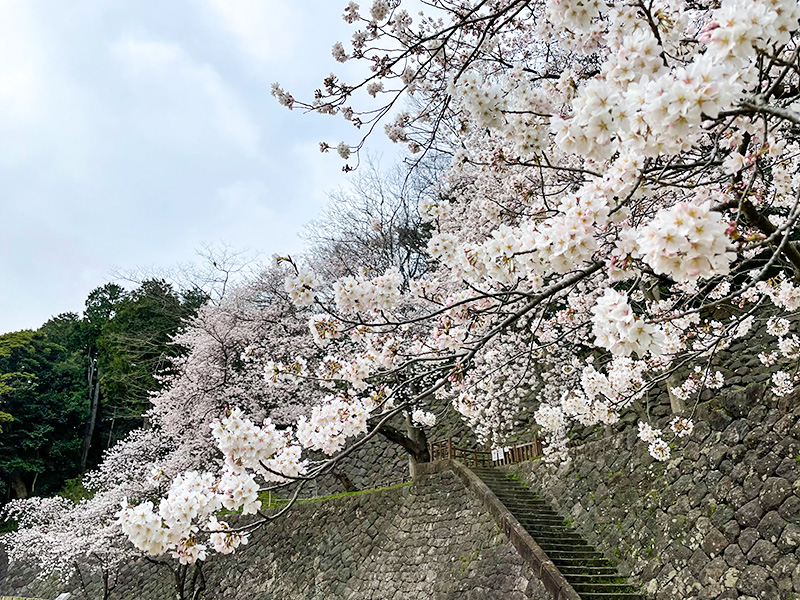 金沢城石垣・石積み模型