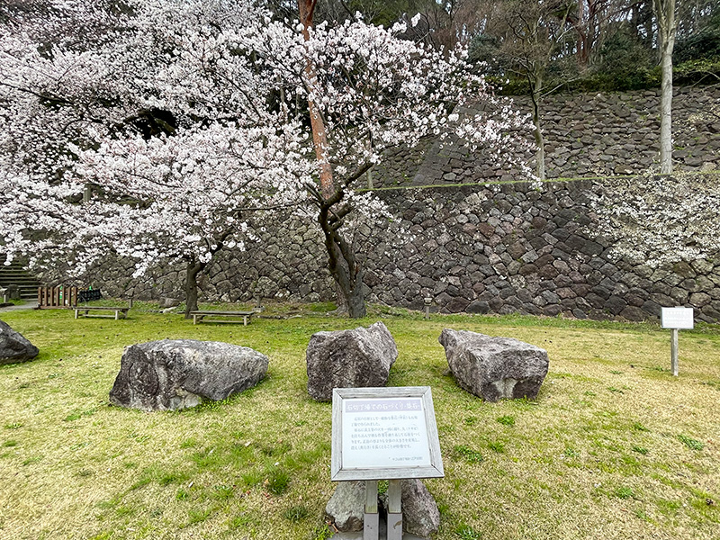 金沢城石垣・石積み模型