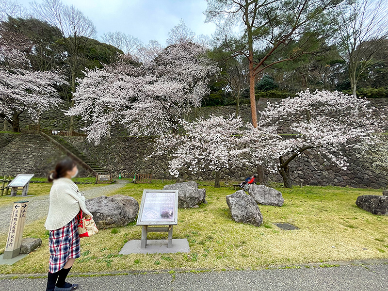 金沢城石垣・石積み模型