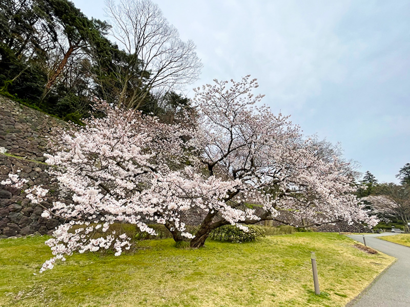 金沢城・明治の石垣