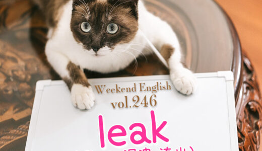 【週末英語#246】情報を漏らす、リークするのリークは「leak」