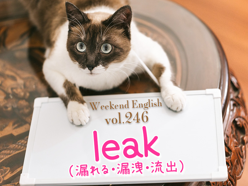 週末英語（weekend english）リークする（leak）