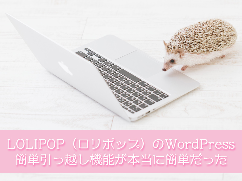 LOLIPOP（ロリポップ）のWordPress（ワードプレス）簡単引っ越し機能が本当に簡単だった