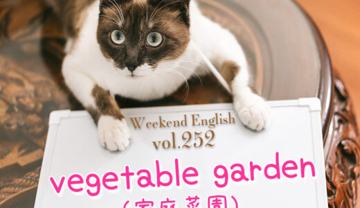 【週末英語#252】畑は英語で「field」だけど、家庭菜園は「vegetable garden」と言うよ。