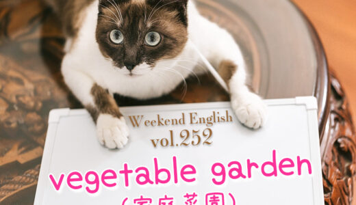 畑は英語で「field」、家庭菜園は「home/vegetable/kitchen garden」と言う