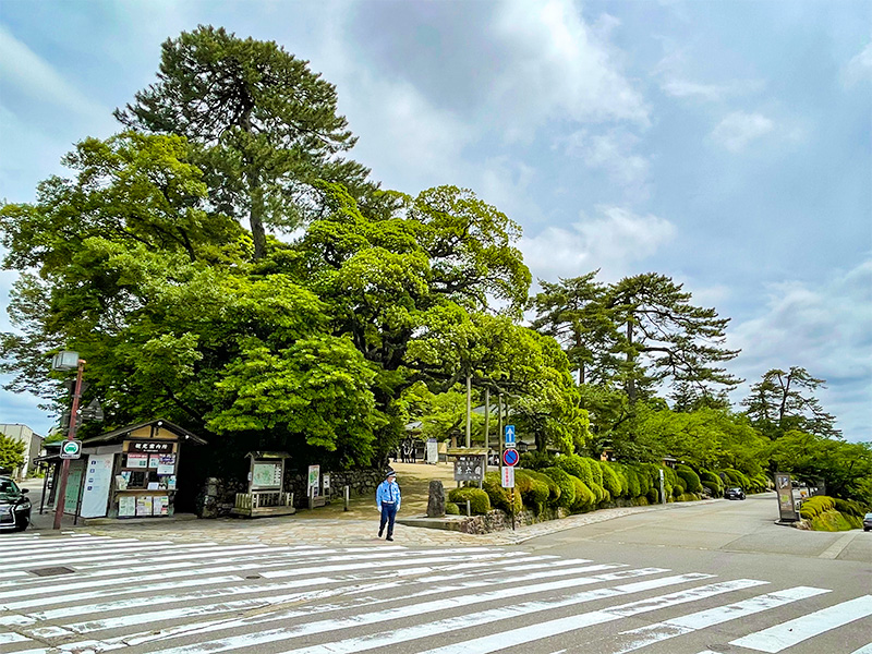 兼六園・金沢