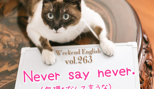 【週末英語#263】「Never say never」は「無理だなんて言うな」と相手を励ます言葉