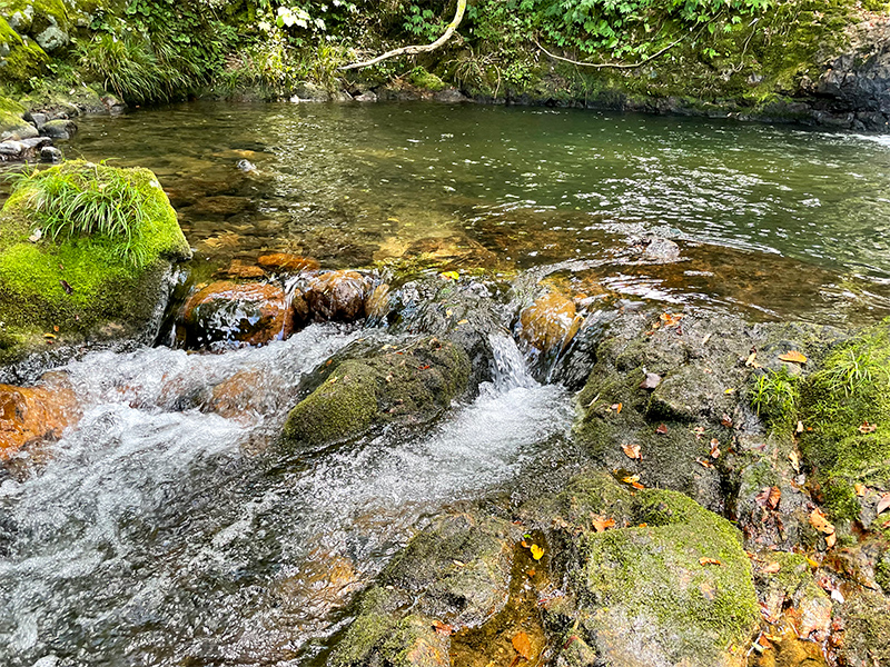 石川県小松・鱒留の滝