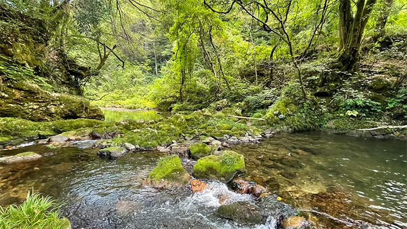 石川県小松・鱒留の滝