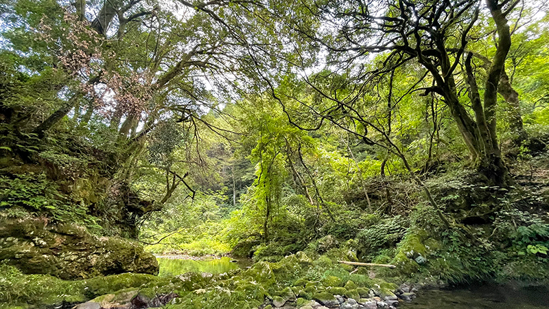 石川県小松・鱒留の滝