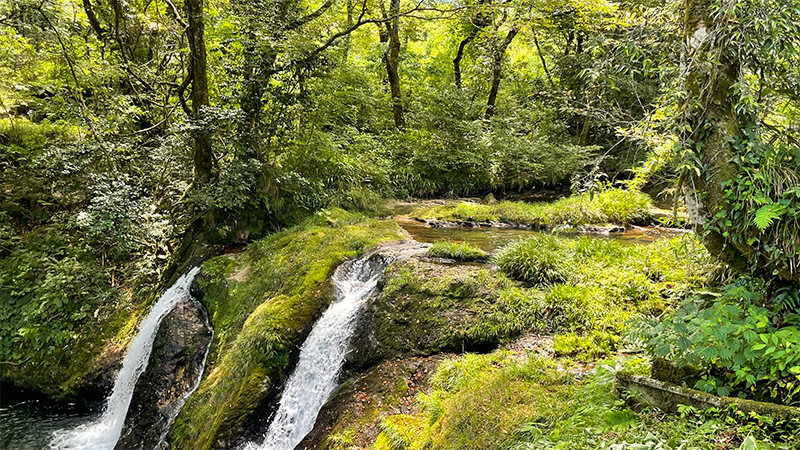 石川県小松・鱒留の滝