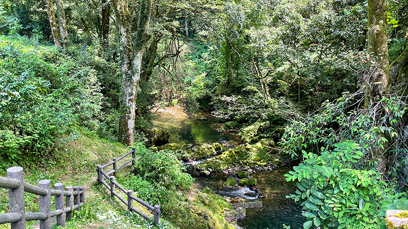 石川県小松・鱒留の滝