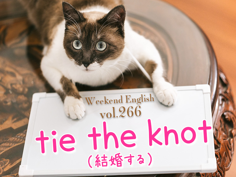 tie the knot（結婚する）