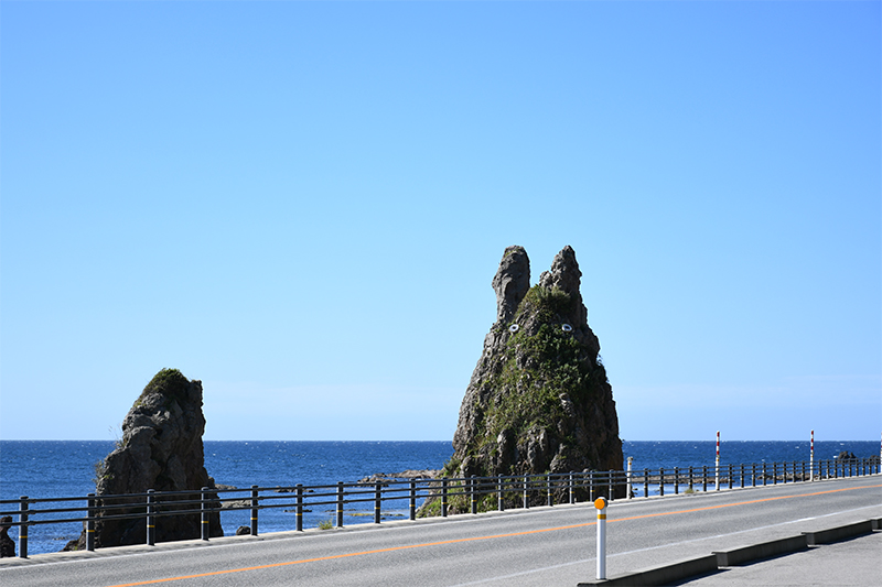 カメラ散歩（トトロ岩）