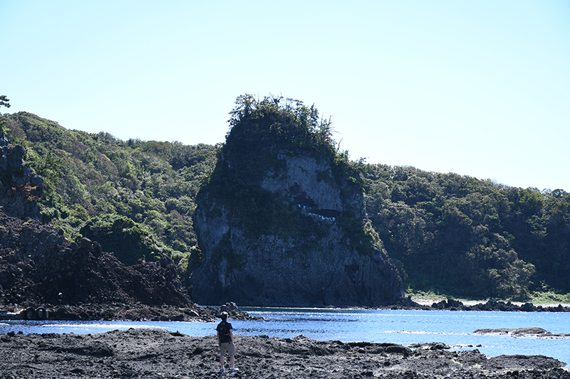 カメラ散歩・巌門、鷹の巣岩