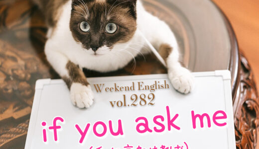 【週末英語#282】「if you ask me」は「私に言わせれば」と意見を述べたい時に使う