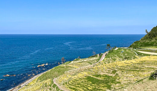 【能登】日本の原風景が広がる輪島の「白米千枚田」世界農業遺産にも登録されてるよ