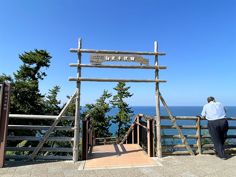 能登輪島・白米千枚田