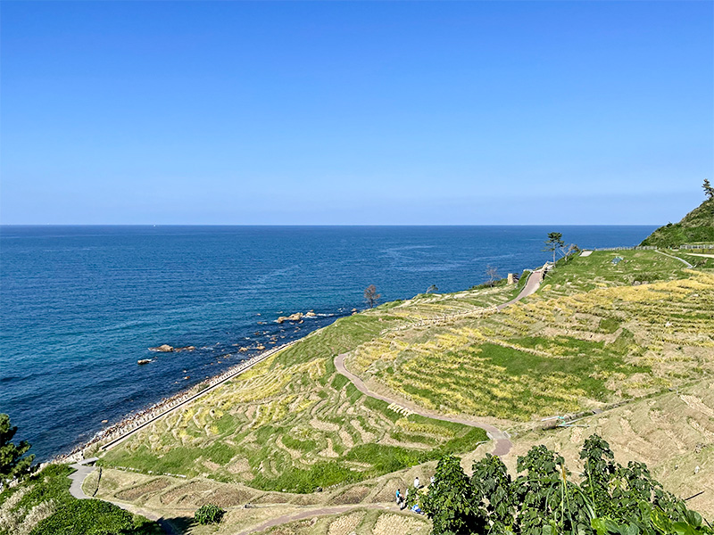 能登輪島・白米千枚田