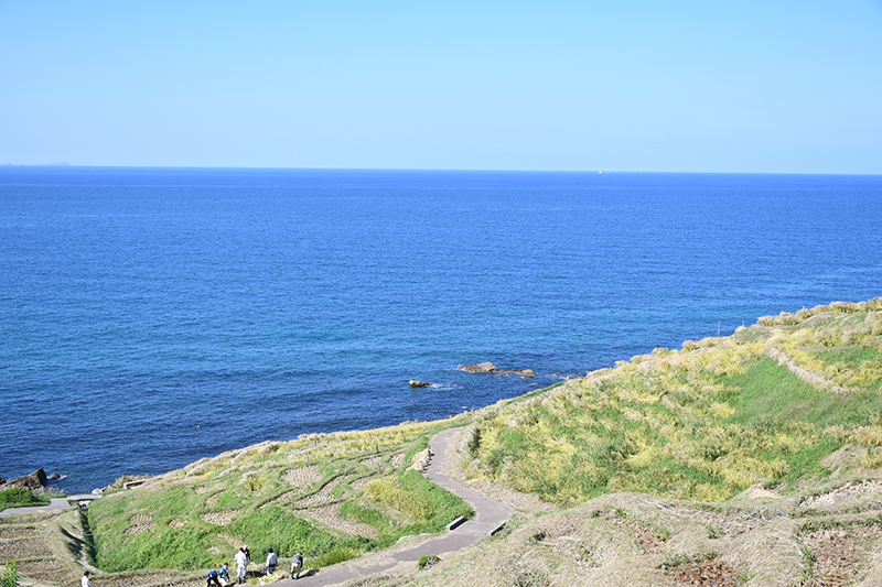 能登輪島・白米千枚田