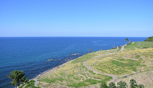 【カメラ散歩】能登半島の先端輪島市にある「白米千枚田」で写真散歩