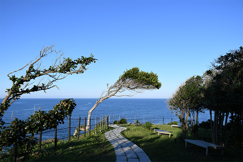 能登日本3大パワースポット・聖域の岬（金剛崎・珠洲岬）