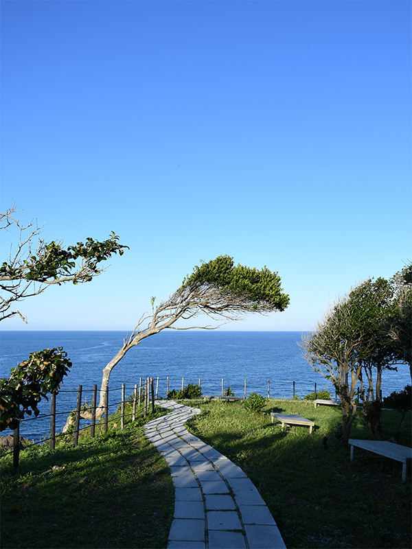 能登日本3大パワースポット・聖域の岬（金剛崎・珠洲岬）