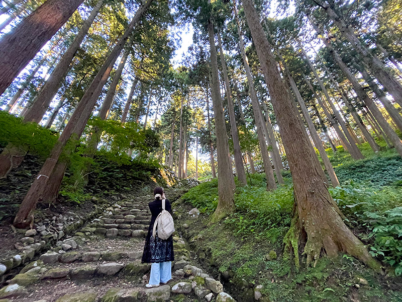 七尾城跡（能登）