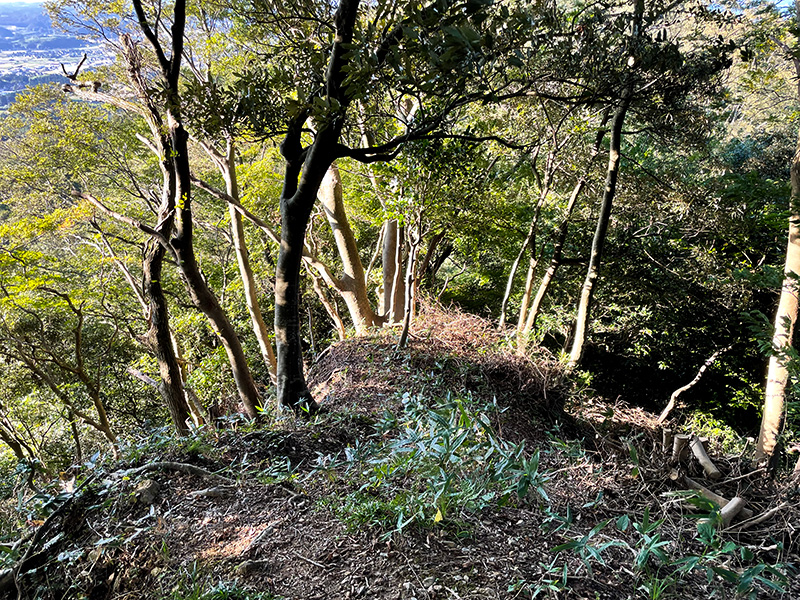 七尾城跡（能登）