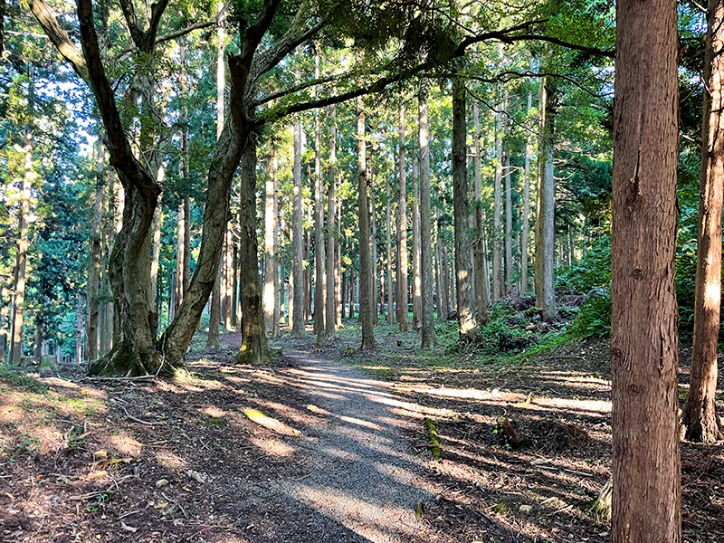 七尾城跡（能登）