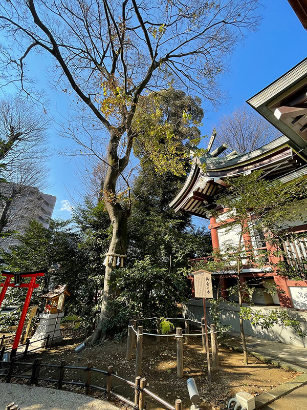 川越八幡宮・埼玉