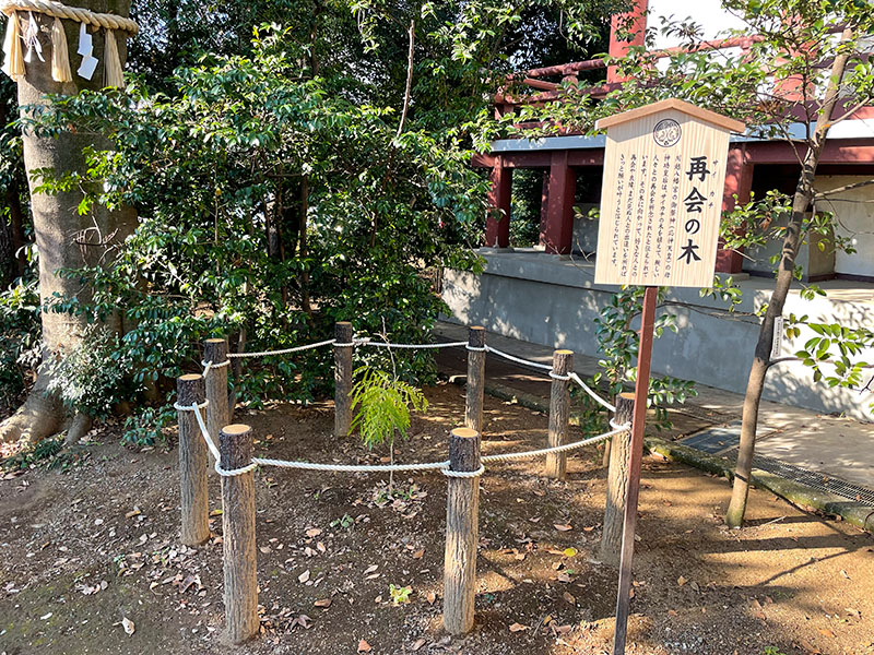 川越八幡宮・埼玉