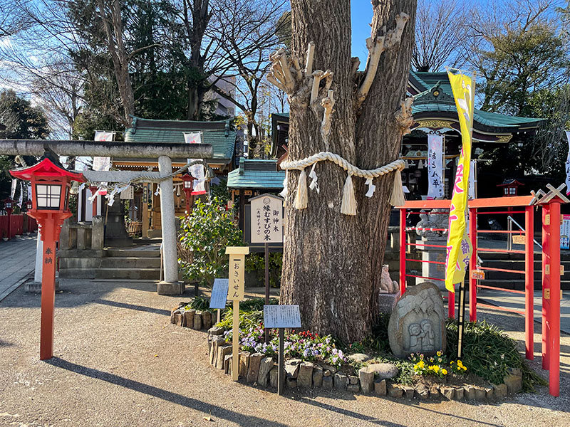 川越八幡宮・埼玉