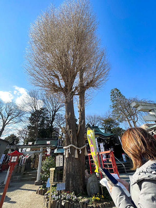 川越八幡宮・埼玉