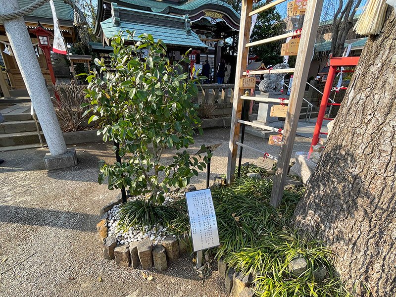 川越八幡宮・埼玉