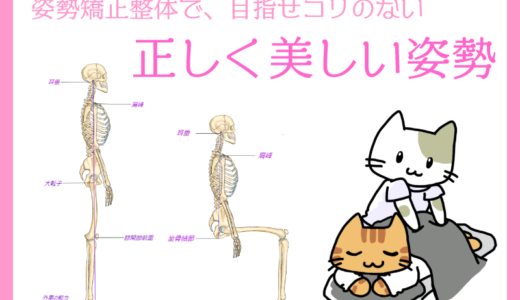 松任駅前にある「姿勢矯正整体 安楽」さんで石川県内で唯一受けられる姿勢矯正整体をしてきました［レビュー］