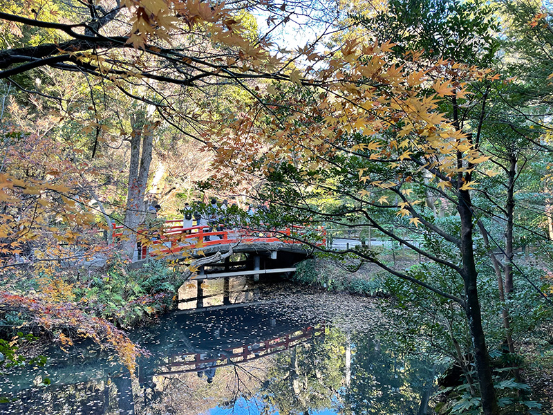 鎌倉 鶴岡八幡宮